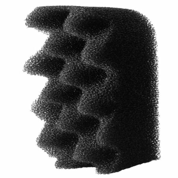 S71016598_1 S71016598_1