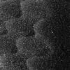 S71016599_2