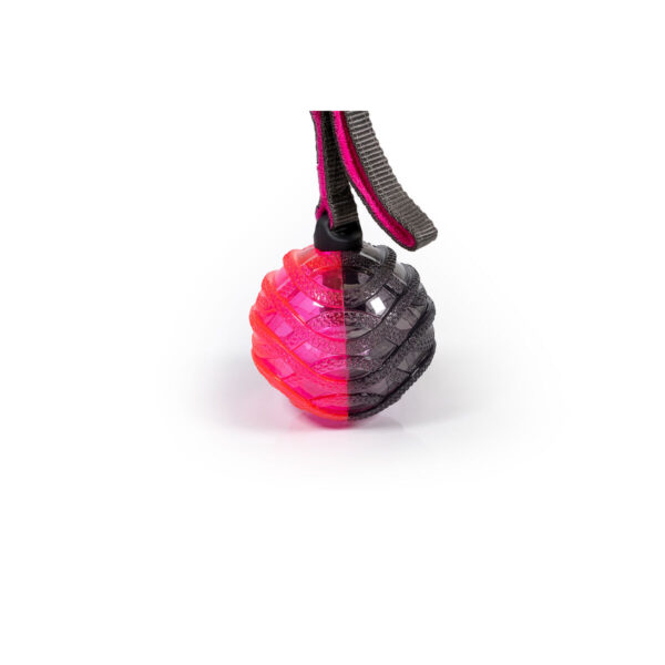 S6104825_2 S6104825_2