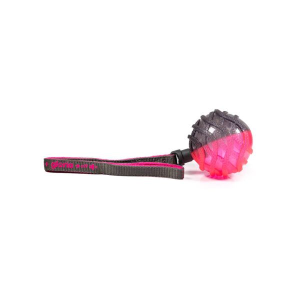 S6104825_0 S6104825_0