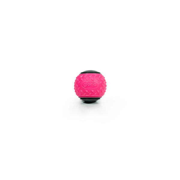 S6105228_5 S6105228_5
