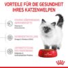 252297_252596_252598_252298_royalcanin_kitten_hs_05_1 Royal Canin Kitten 4 Kg Katzenfutter