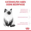 252297_252596_252598_252298_royalcanin_kitten_hs_06_2 Royal Canin Kitten 4 Kg Katzenfutter
