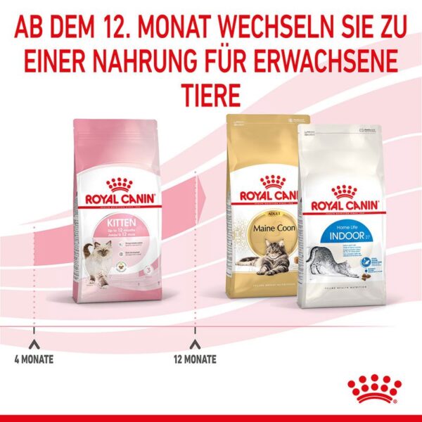 252297_252596_252598_252298_royalcanin_kitten_hs_11_0 Royal Canin Kitten 4 Kg Katzenfutter