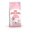 Royal Canin Kitten Huhn 10 kg Katzenfutter