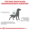 0053255_royal-canin-veterinary-anallergenic-trockenfutter-fur-hunde ROYAL CANIN Dog Anallergenic 8 Kg