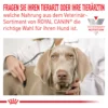 0053258_royal-canin-veterinary-anallergenic-trockenfutter-fur-hunde ROYAL CANIN Dog Anallergenic 8 Kg