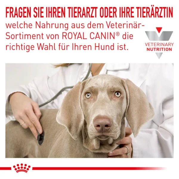 0053258_royal-canin-veterinary-anallergenic-trockenfutter-fur-hunde ROYAL CANIN Dog Anallergenic 8 Kg