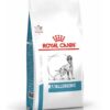 3182550940566F1 ROYAL CANIN Dog Anallergenic 8 Kg