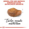 ROYAL CANIN British Shorthair Katzenfutter trocken für Britisch Kurzhaar 10 kg