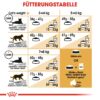 ROYAL CANIN British Shorthair Katzenfutter trocken für Britisch Kurzhaar 10 kg