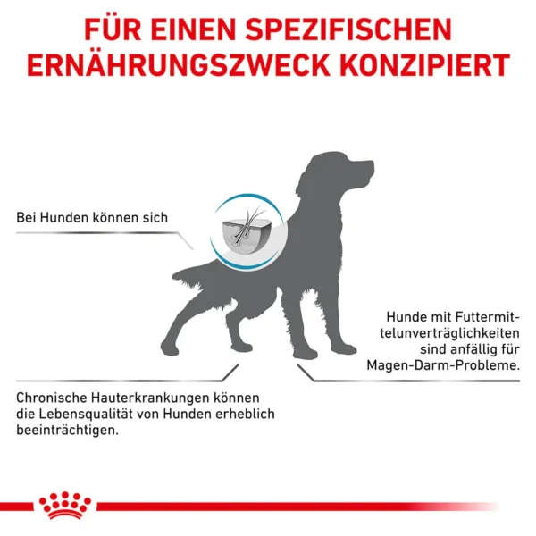 0053255_royal-canin-veterinary-anallergenic-trockenfutter-fur-hunde ROYAL CANIN Anallergenic 3kg
