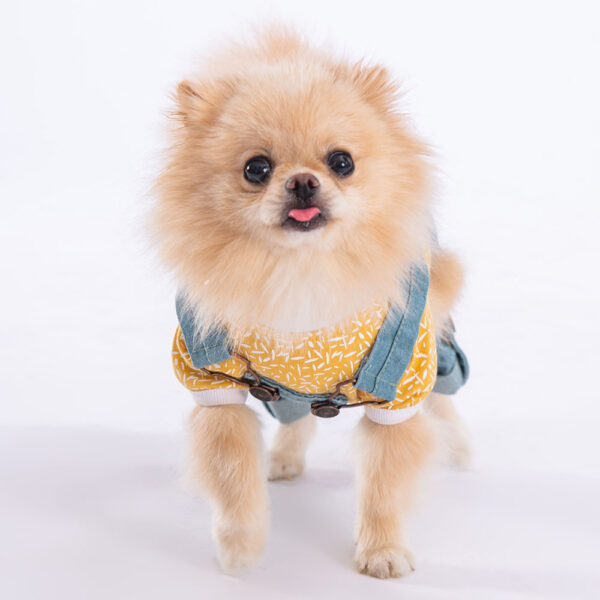 23924-MaviSalopet-1 Pawstar Hundemantel 2-Teiliges Denim Latzhosen Set