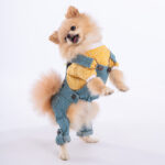23924-MaviSalopet Pawstar Hundemantel 2-Teiliges Denim Latzhosen Set