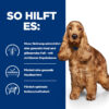 52742040424-4 Hill's Prescription Diet Canine Food Sensitivities z/d Trockenfutter