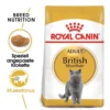 ROYAL CANIN British Shorthair Katzenfutter trocken für Britisch Kurzhaar 2 kg