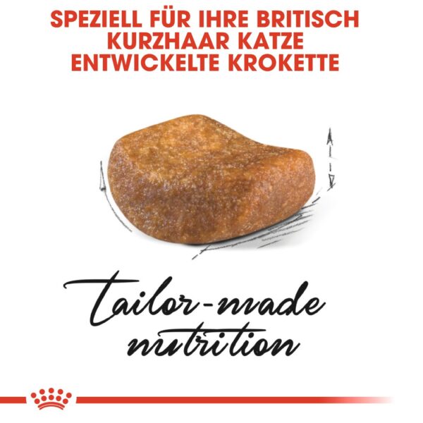 ROYAL CANIN British Shorthair Katzenfutter trocken für Britisch Kurzhaar 2 kg