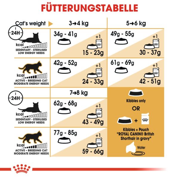 ROYAL CANIN British Shorthair Katzenfutter trocken für Britisch Kurzhaar 2 kg
